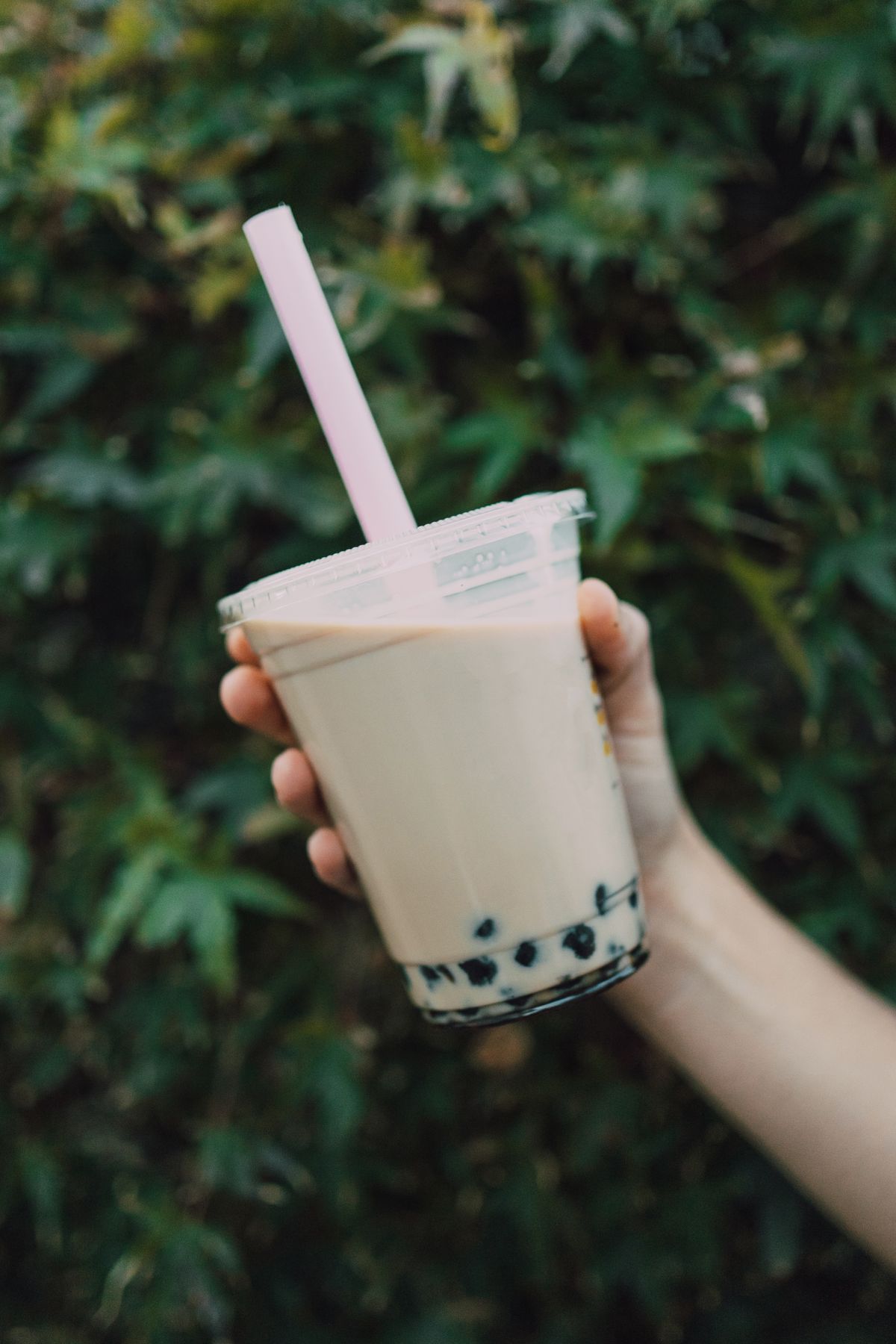 Classic milk tea with chewy tapioca pearls